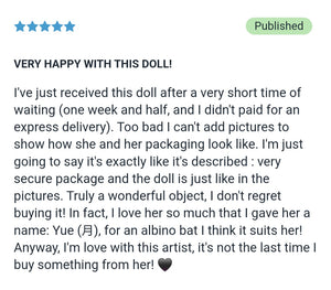 Review Albino Bat