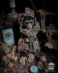 13.7" Old Circus Monkey