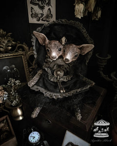 11.6" Mourning Siam Deer