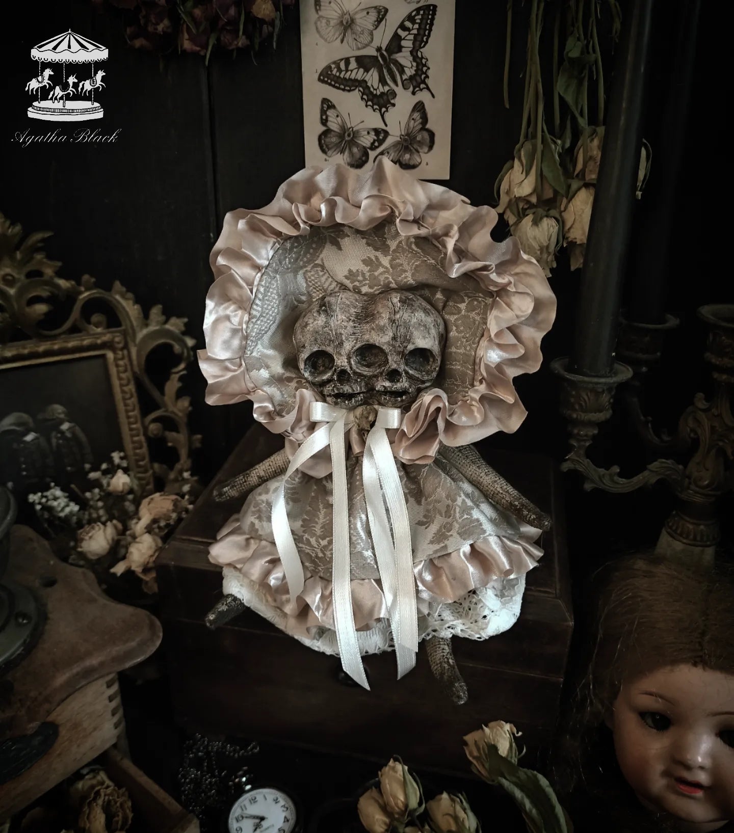 11.4" Siam Twin Skeleton