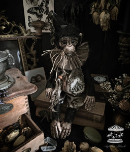 13" Old Circus Monkey