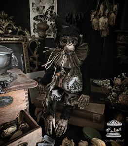 13" Old Circus Monkey