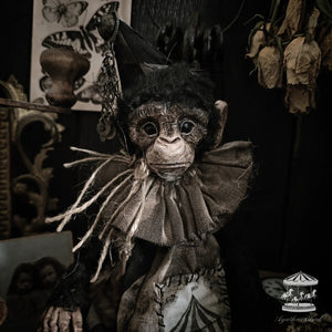 13" Old Circus Monkey