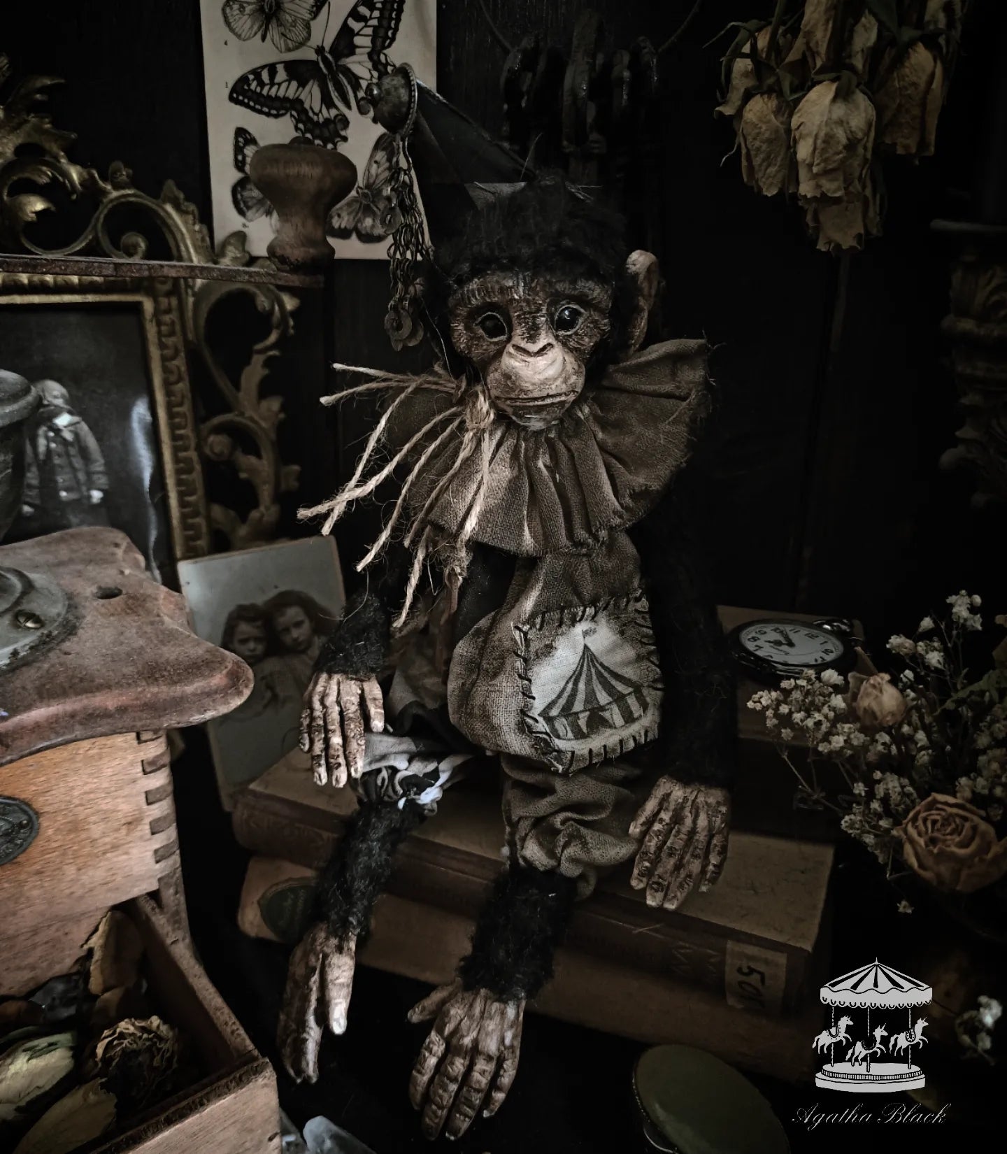 13" Old Circus Monkey