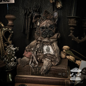 10.2" French Bulldog Puppy