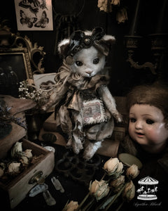11" Old White Cat