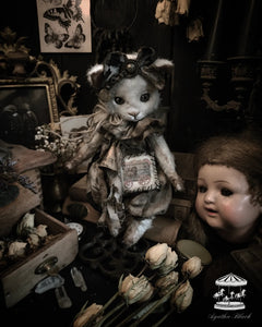 11" Old White Cat