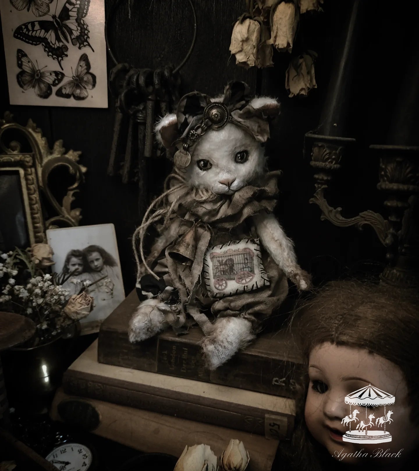 11" Old White Cat
