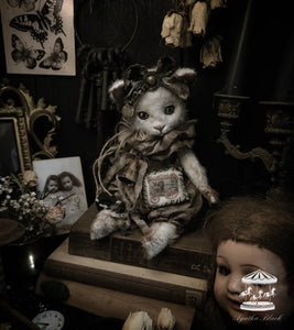 11" Old White Cat