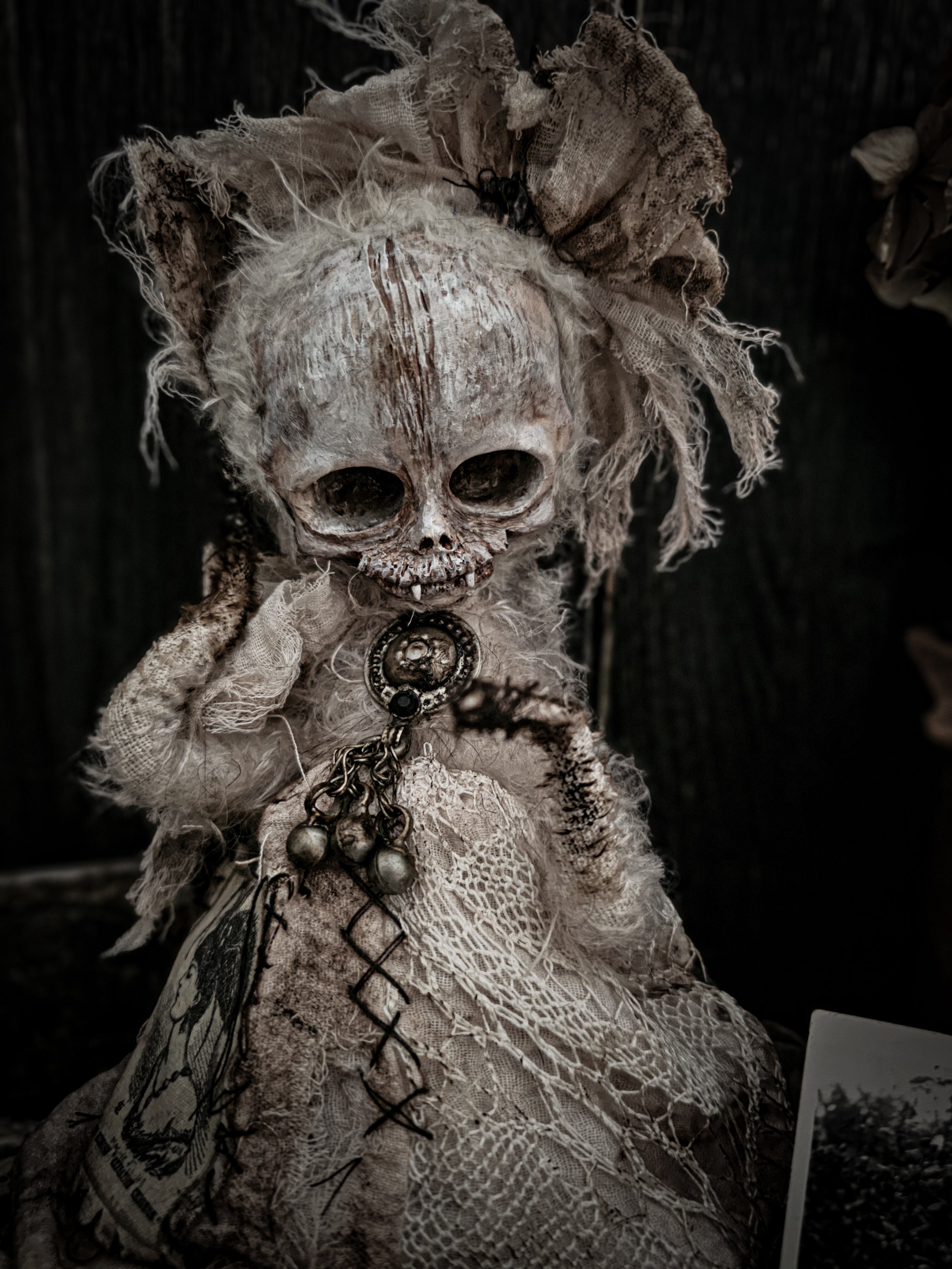 11.8" Skull Cat