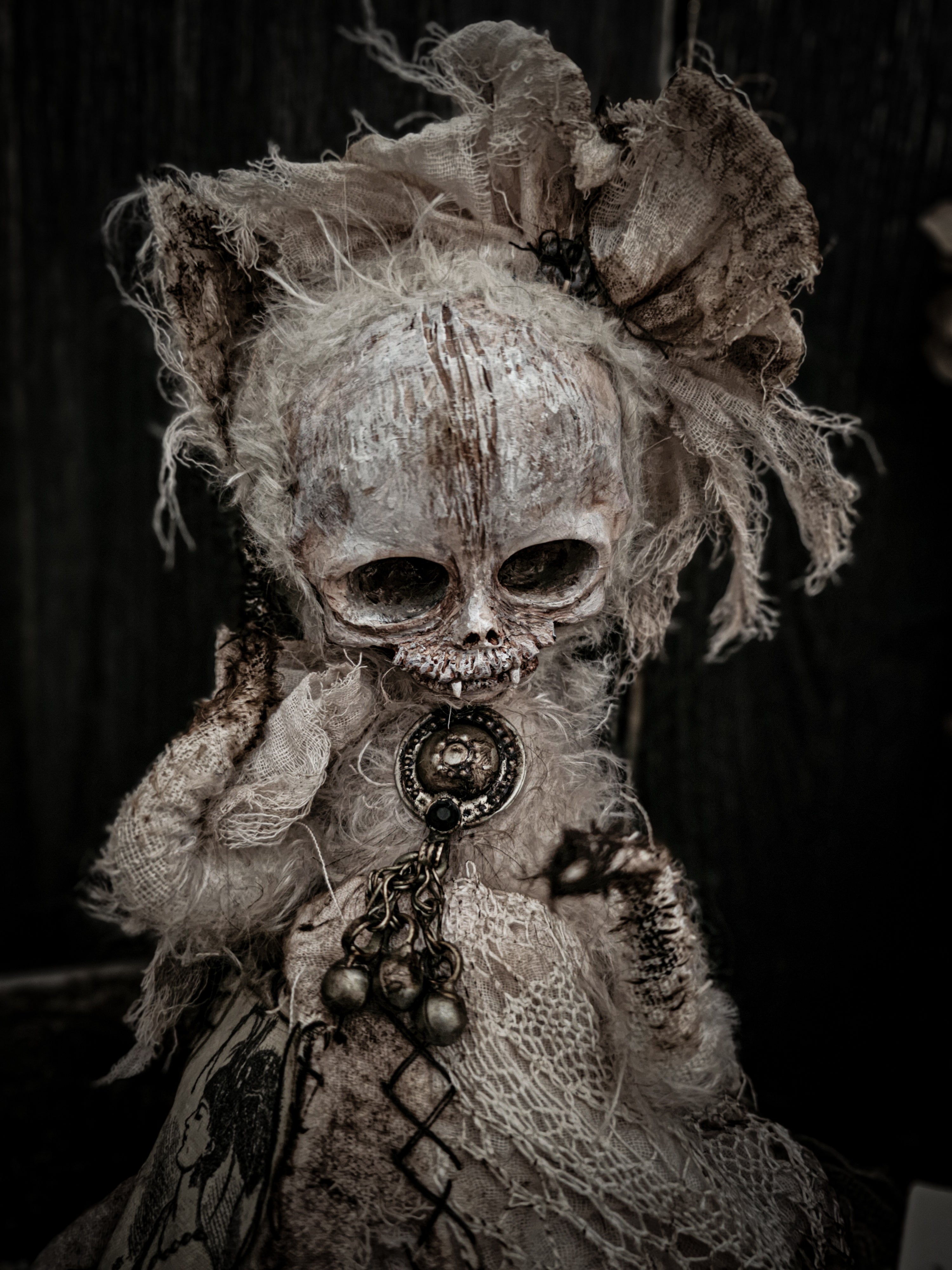 11.8" Skull Cat