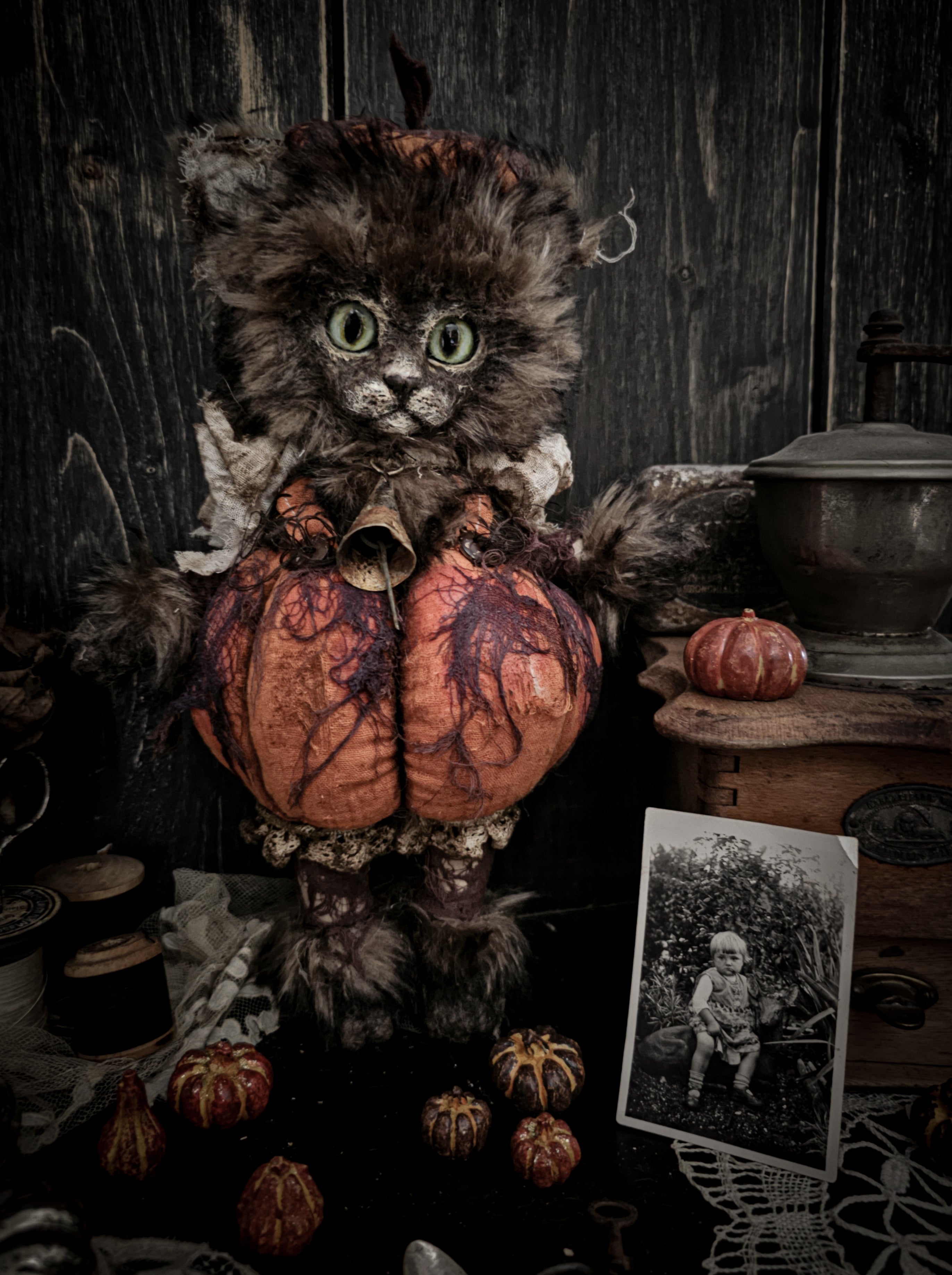 12" Pumpkin Cat