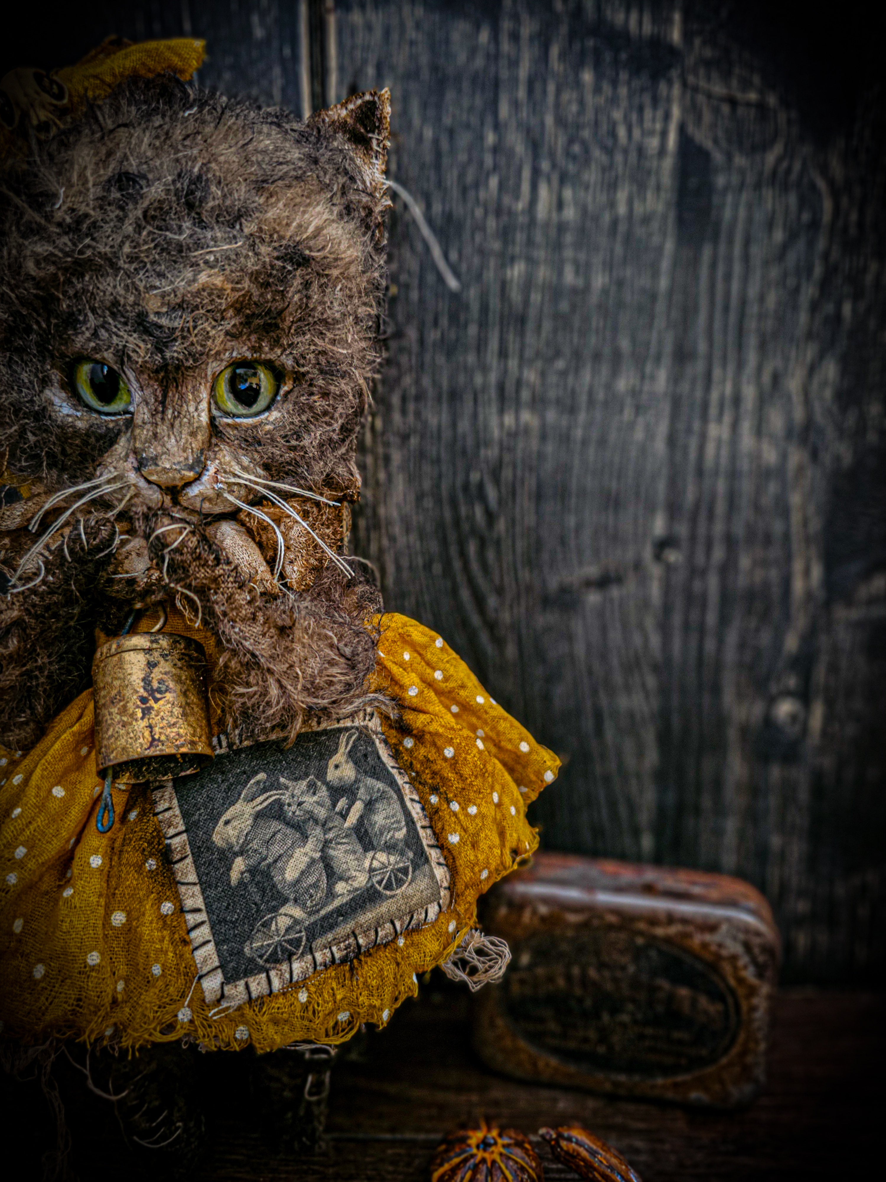 11.4" Kitten