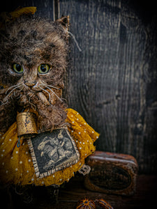 11.4" Kitten