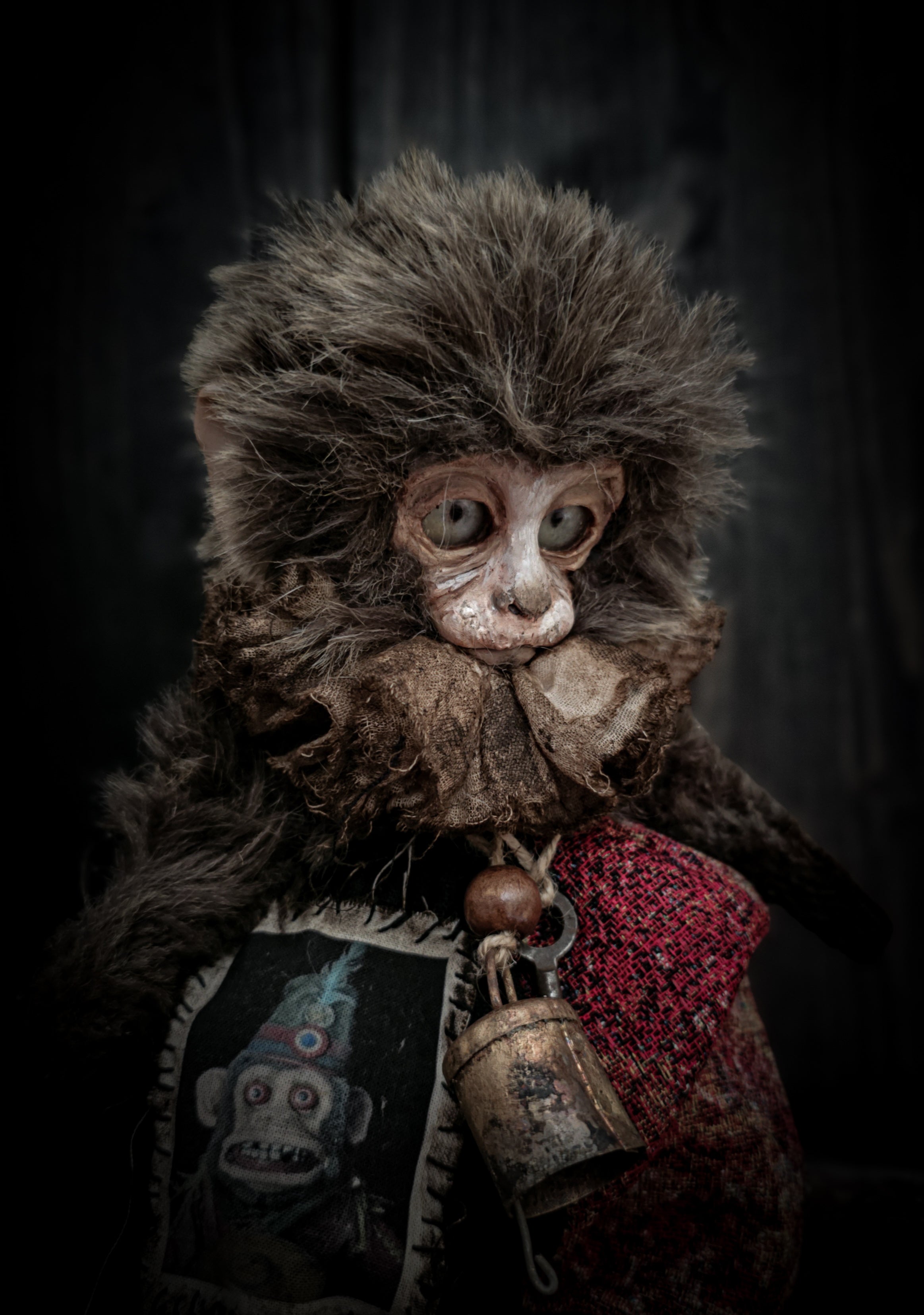 10.6" Old Capuchin Monkey