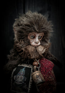 10.6" Old Capuchin Monkey