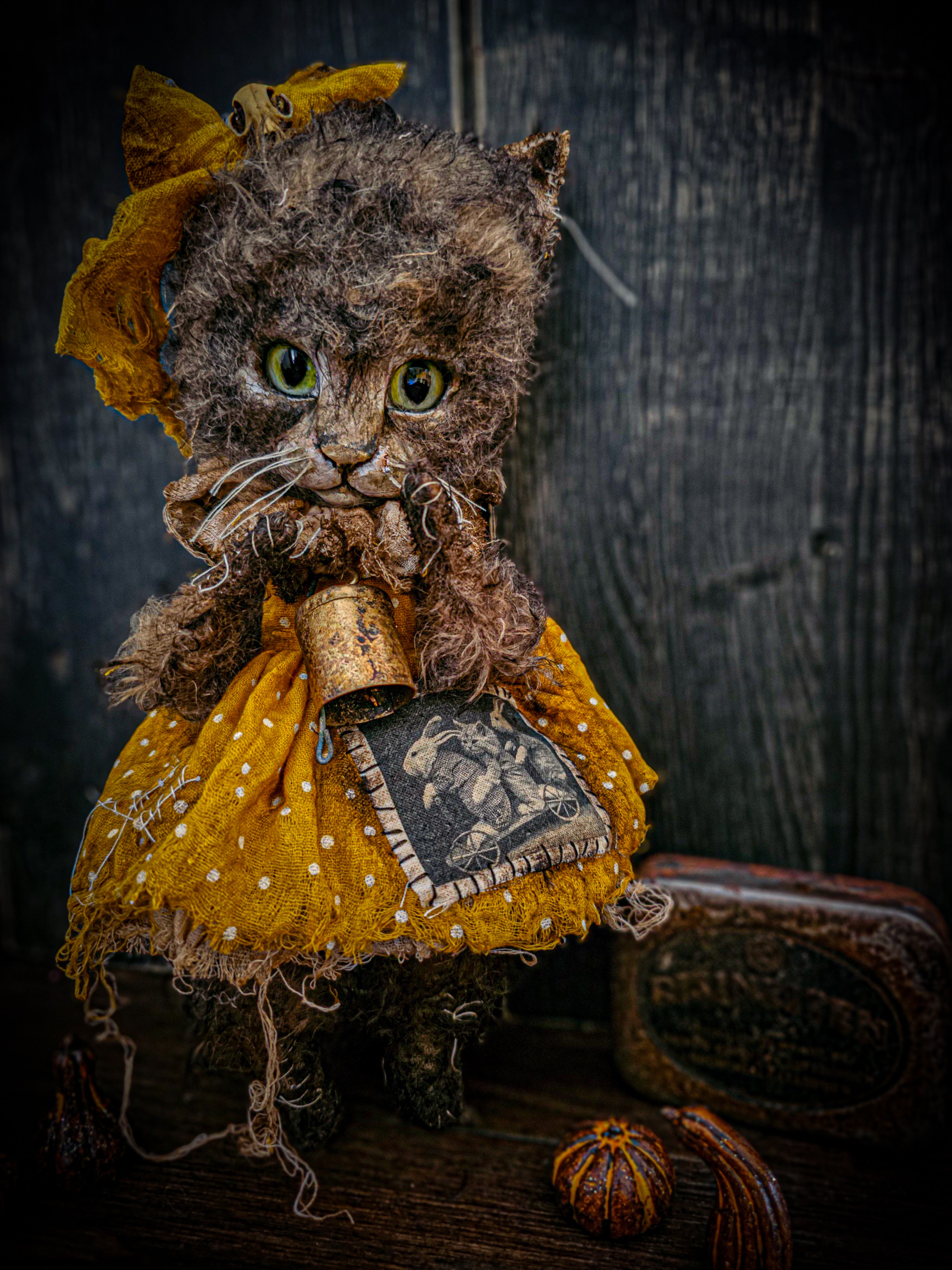 11.4" Kitten