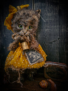 11.4" Kitten
