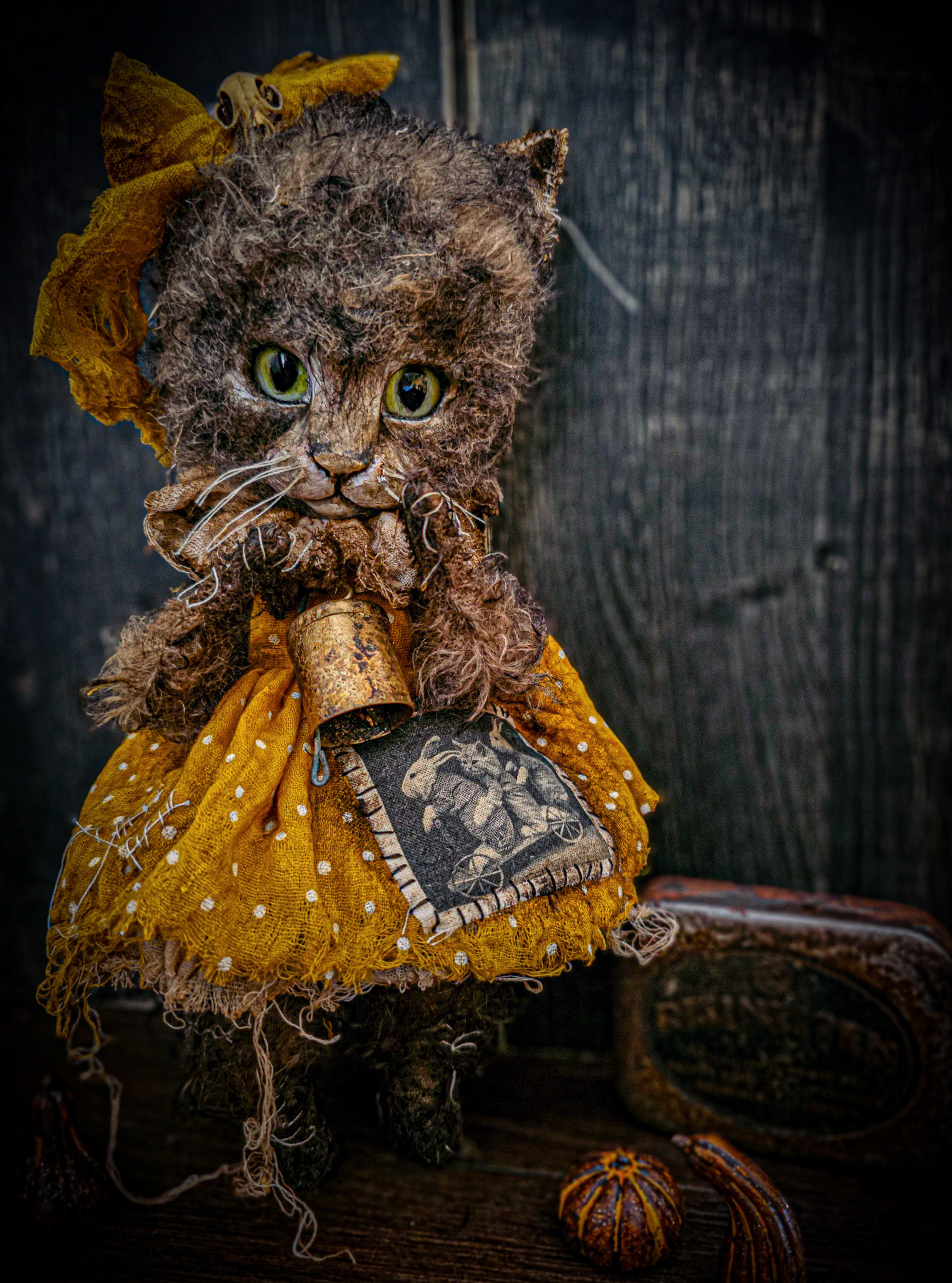 11.4" Kitten