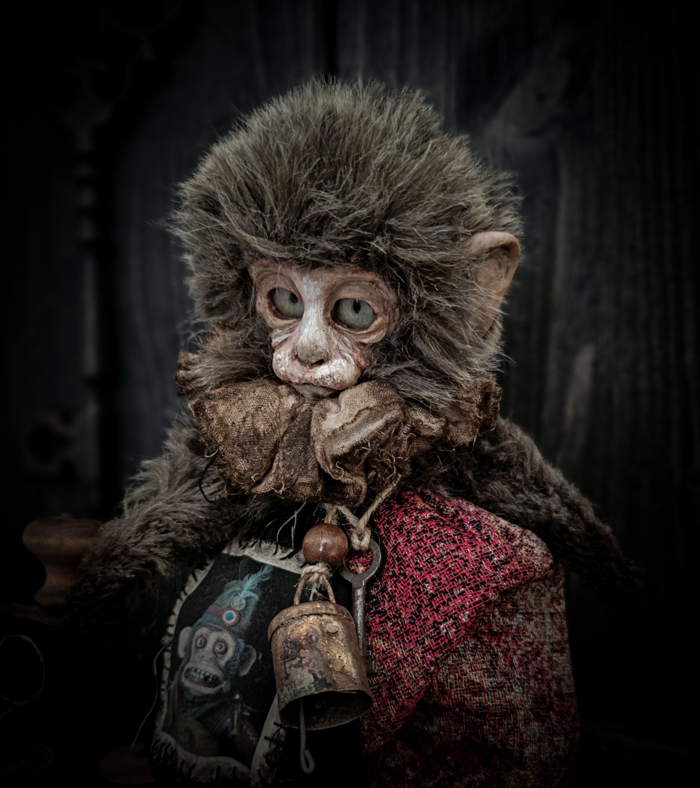 10.6" Old Capuchin Monkey
