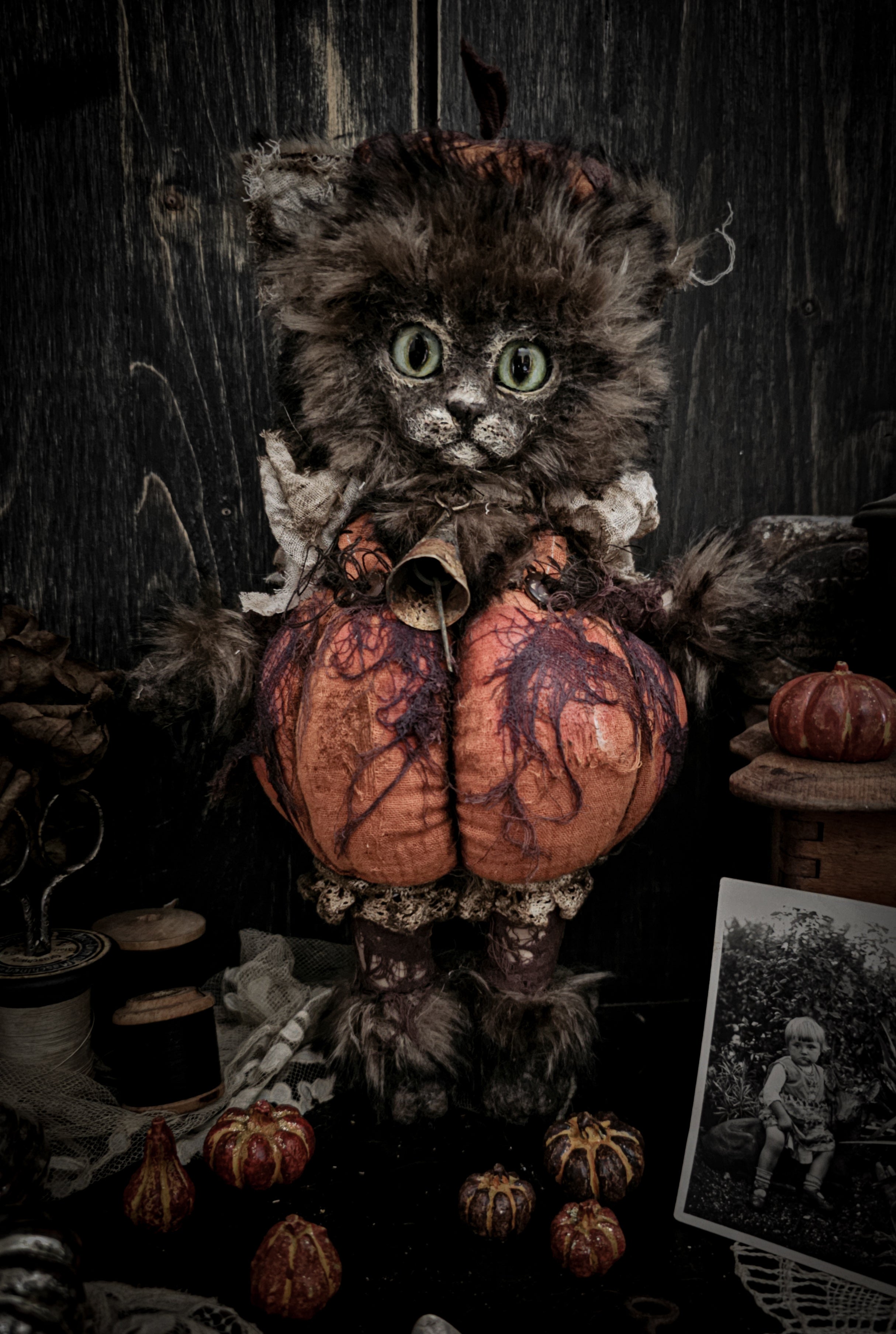 12" Pumpkin Cat