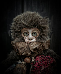 10.6" Old Capuchin Monkey