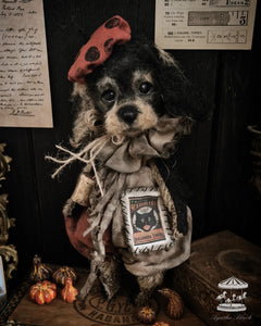 11.8" Wire Haired Dachshund Puppy