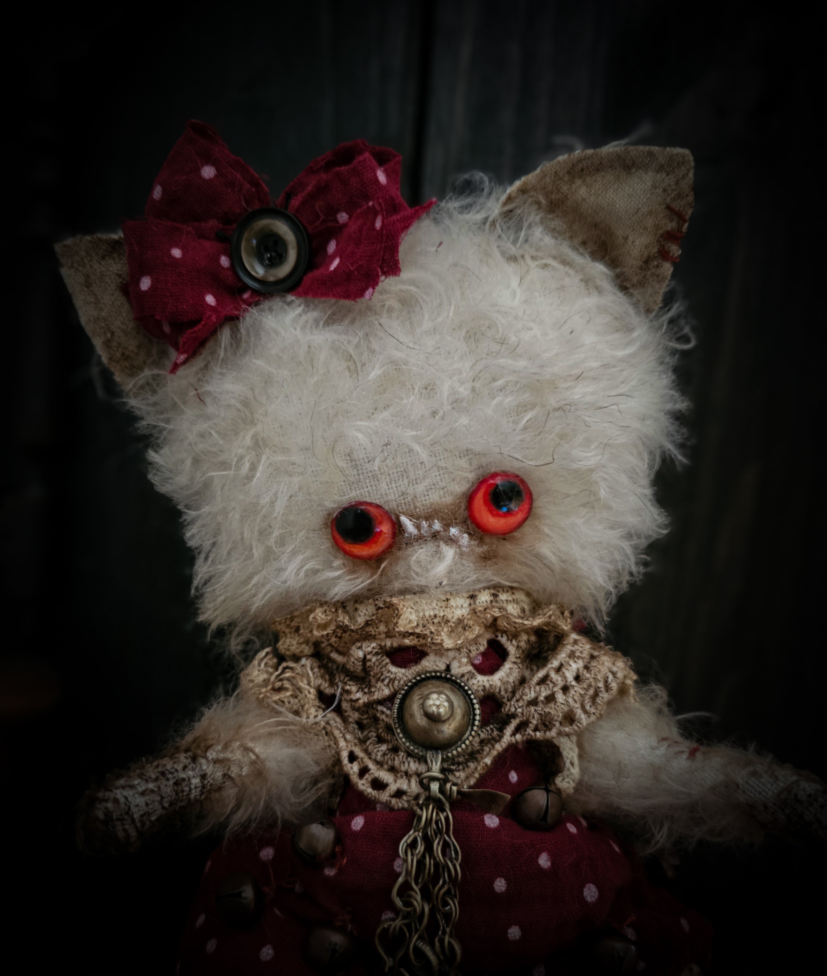 11" Albino Kitten