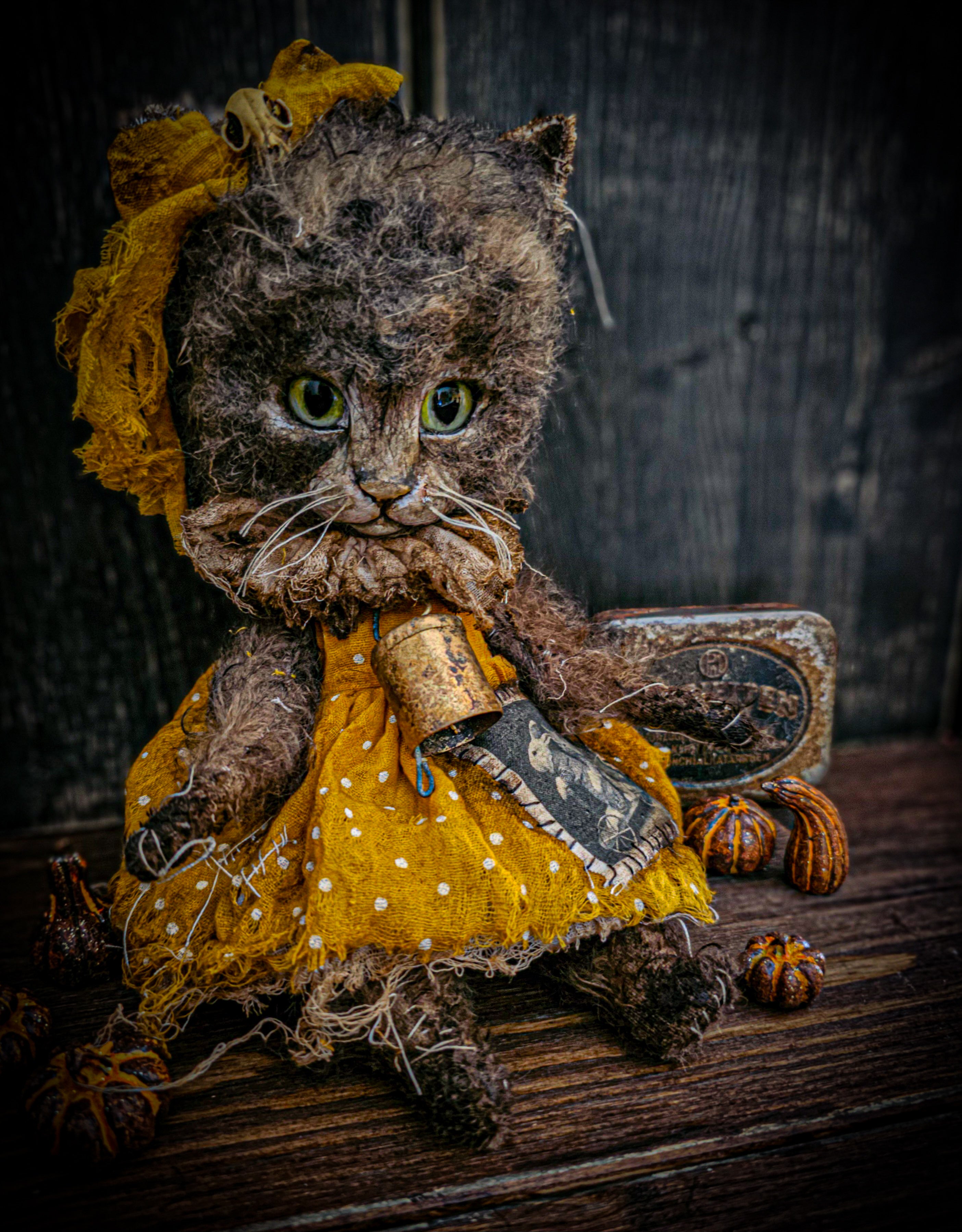11.4" Kitten