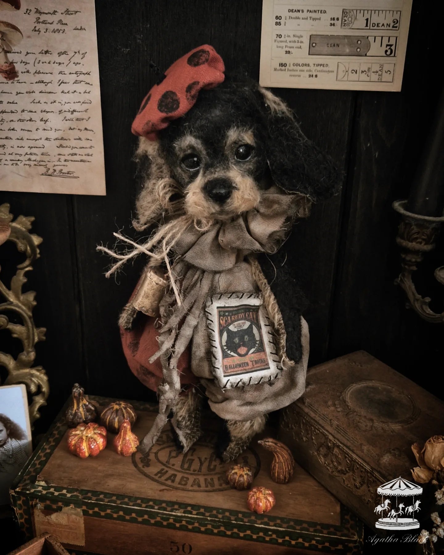 11.8" Wire Haired Dachshund Puppy
