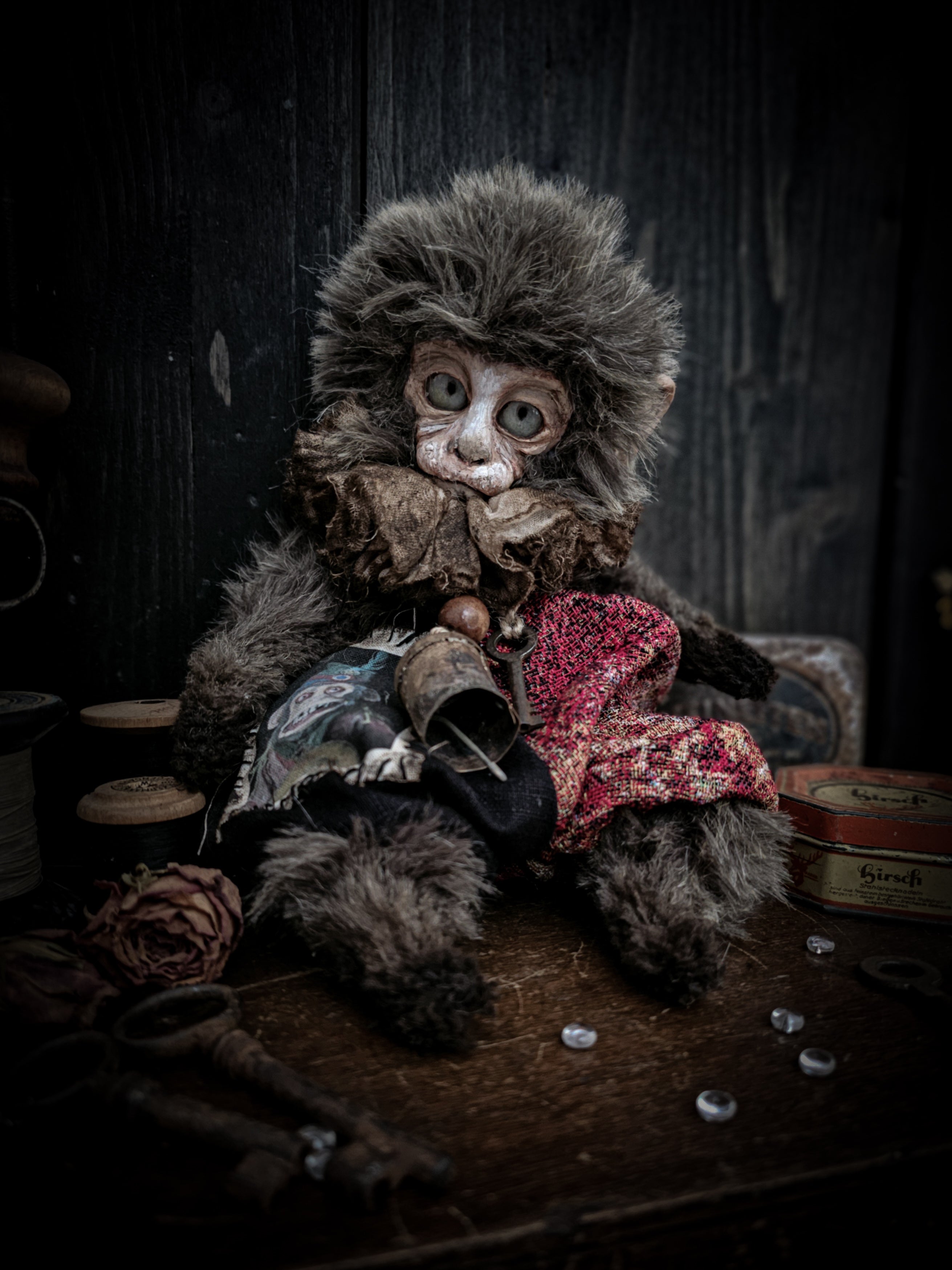 10.6" Old Capuchin Monkey