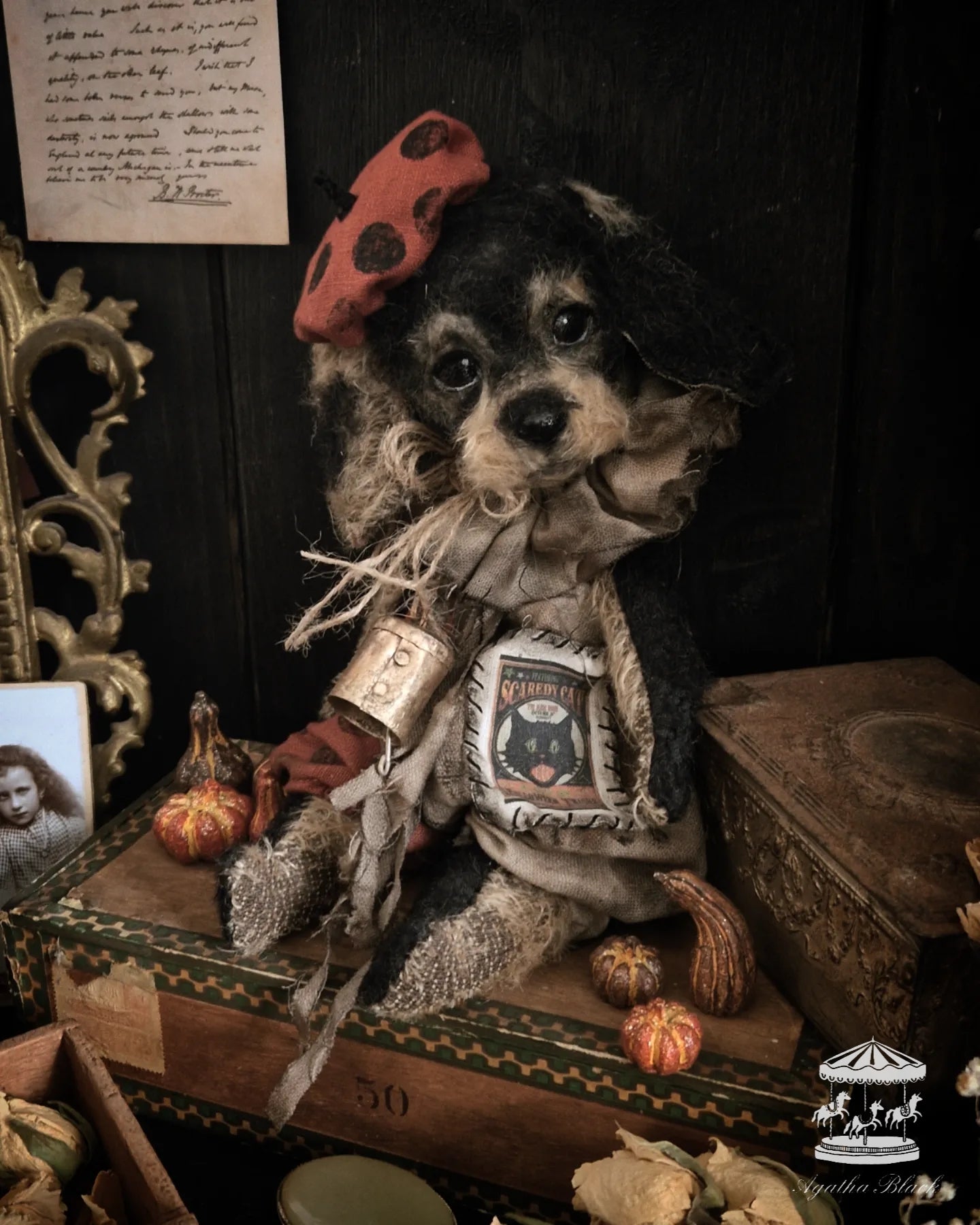 11.8" Wire Haired Dachshund Puppy
