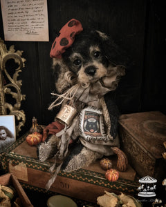 11.8" Wire Haired Dachshund Puppy