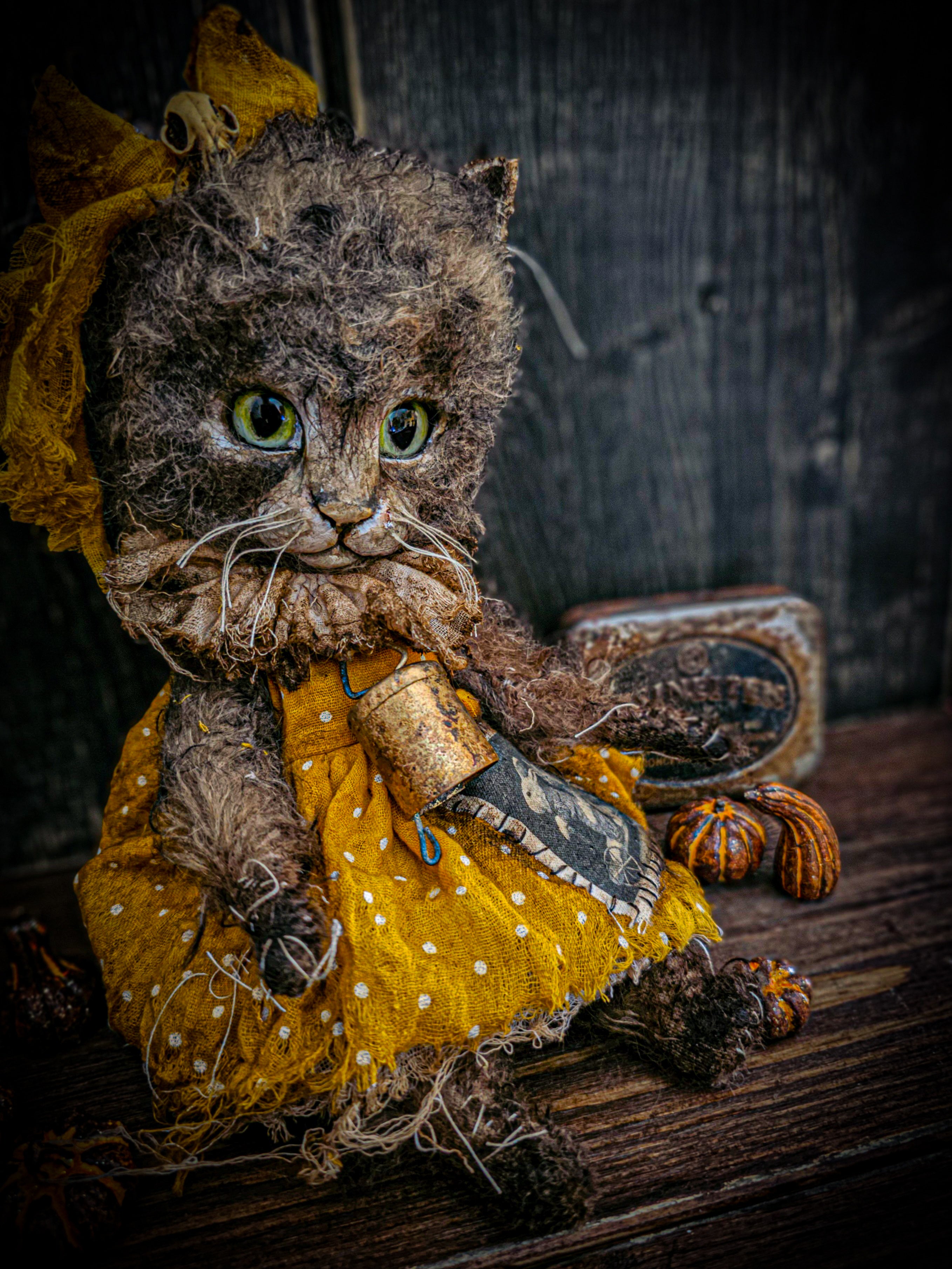 11.4" Kitten