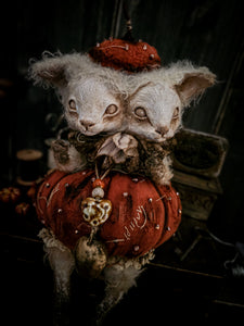 12.5" Pumpkin Siam Lamb