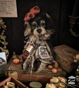 11.8" Wire Haired Dachshund Puppy