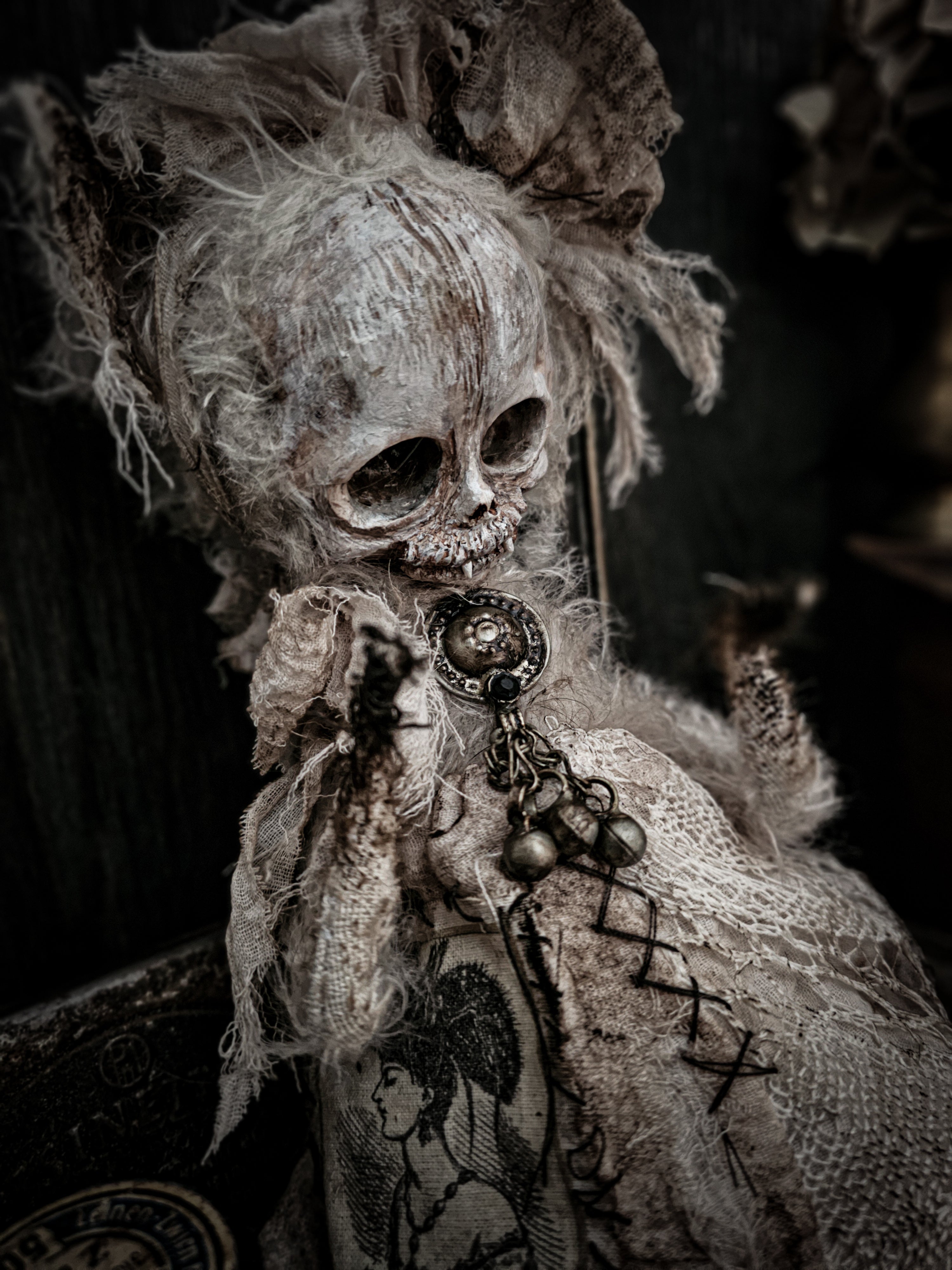 11.8" Skull Cat