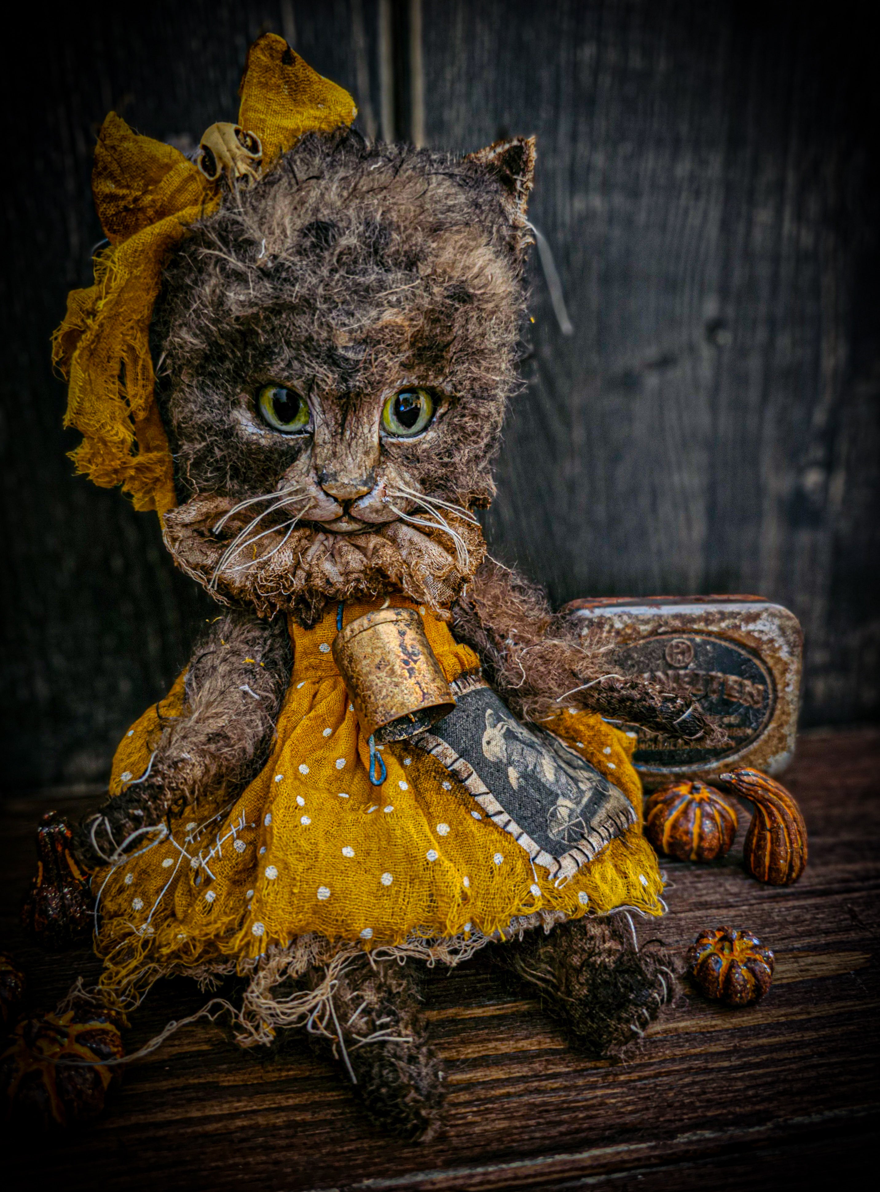11.4" Kitten
