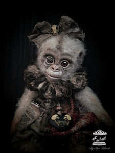 11.8" Albino Monkey