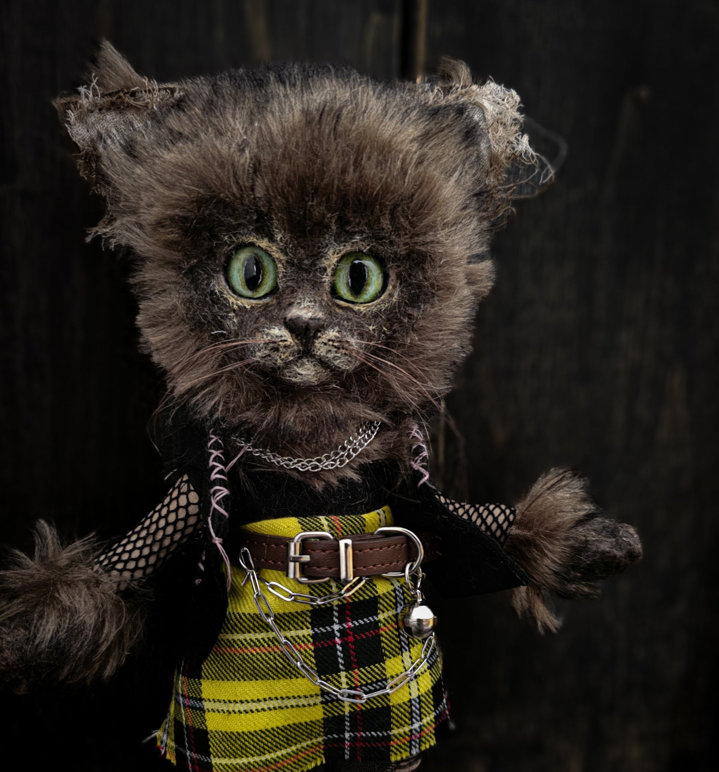 11.8" Kitty