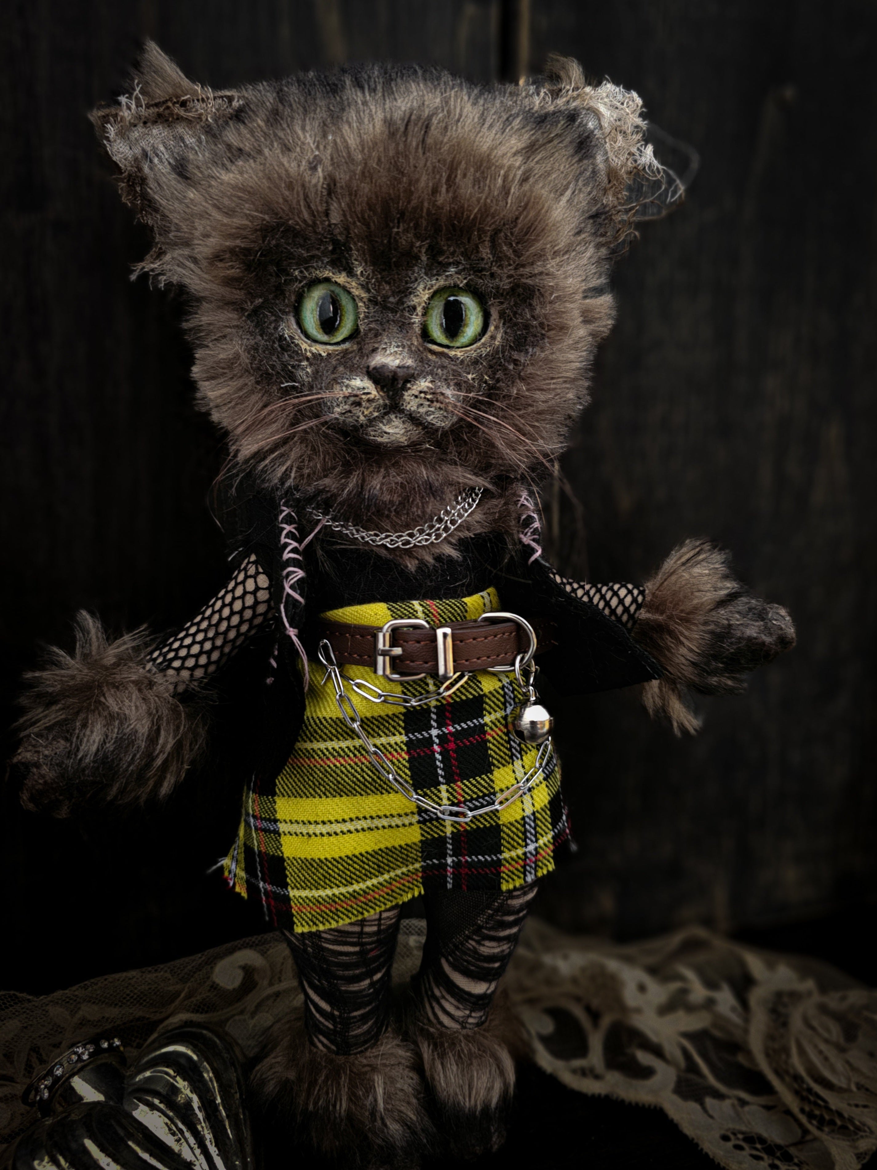 11.8" Kitty