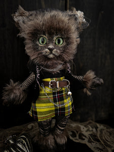 11.8" Kitty
