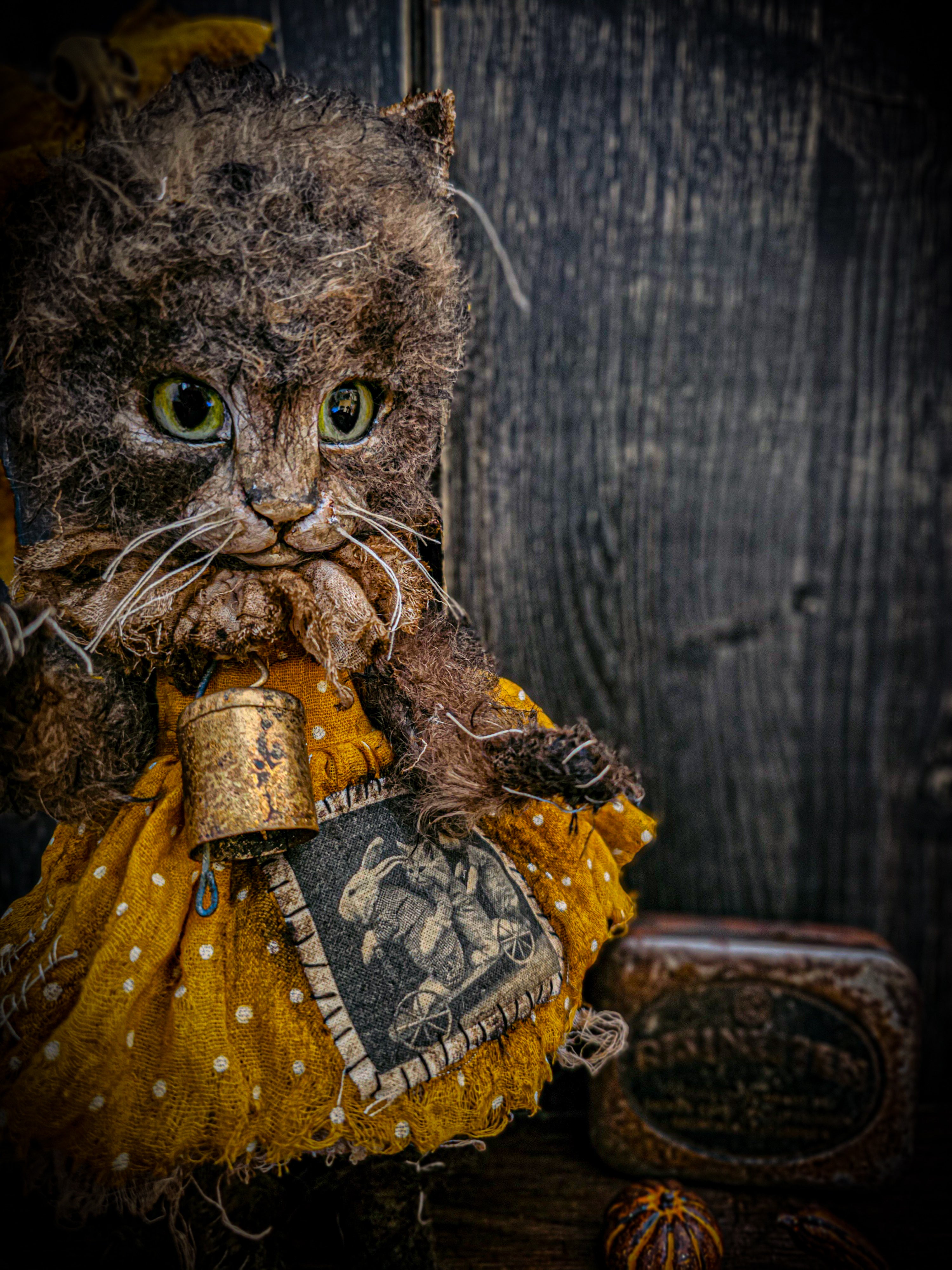 11.4" Kitten