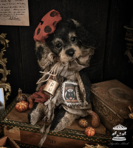 11.8" Wire Haired Dachshund Puppy