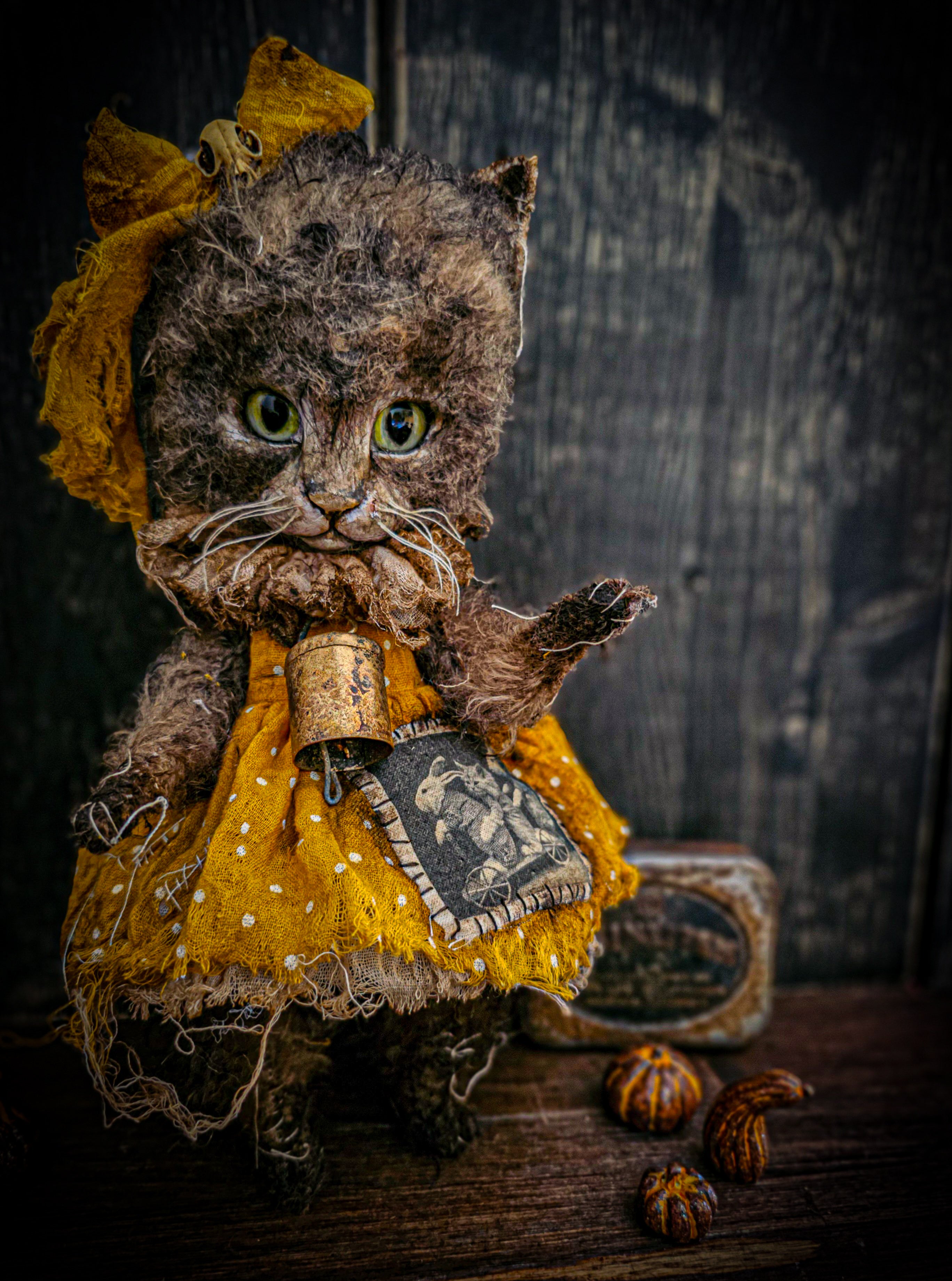 11.4" Kitten