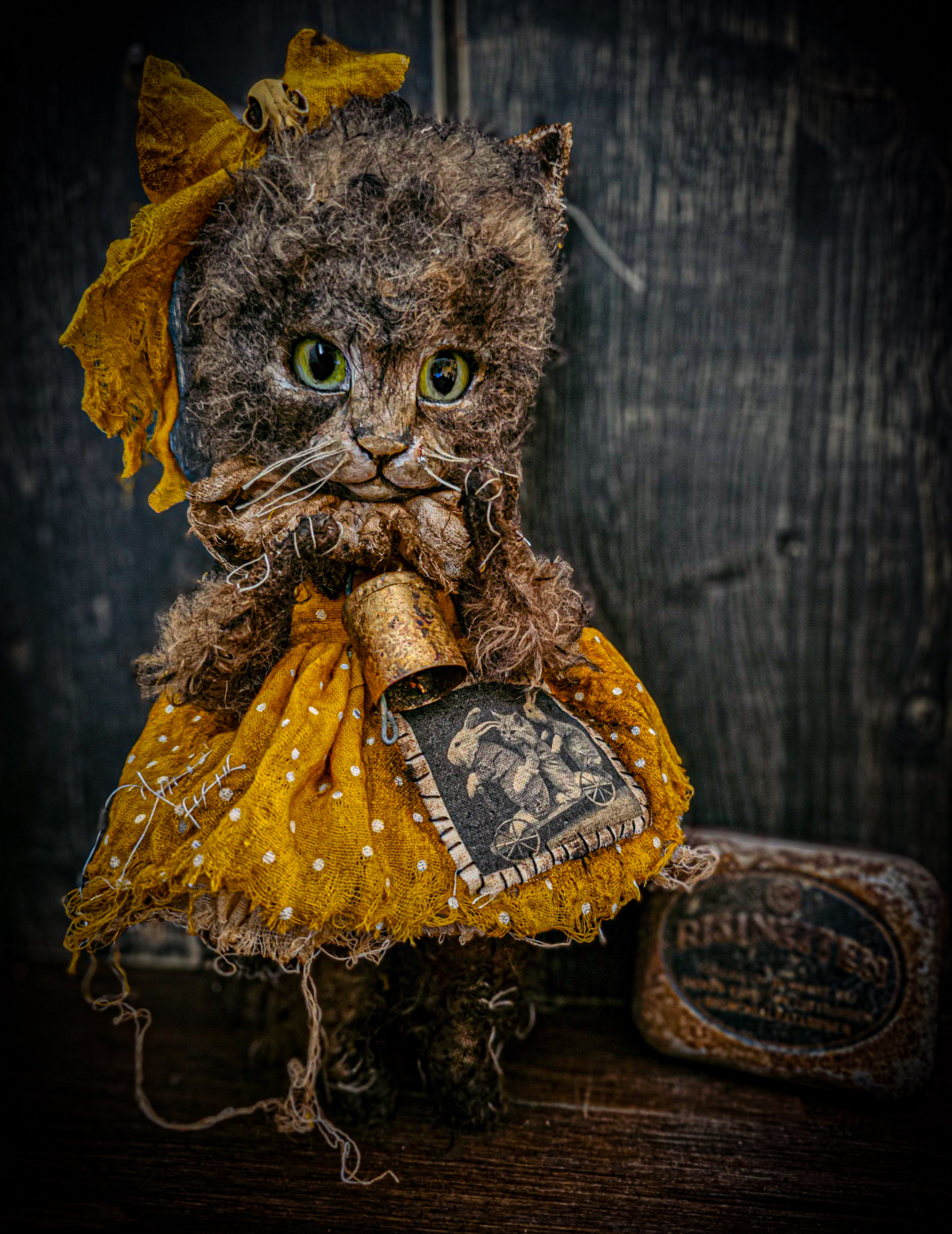11.4" Kitten