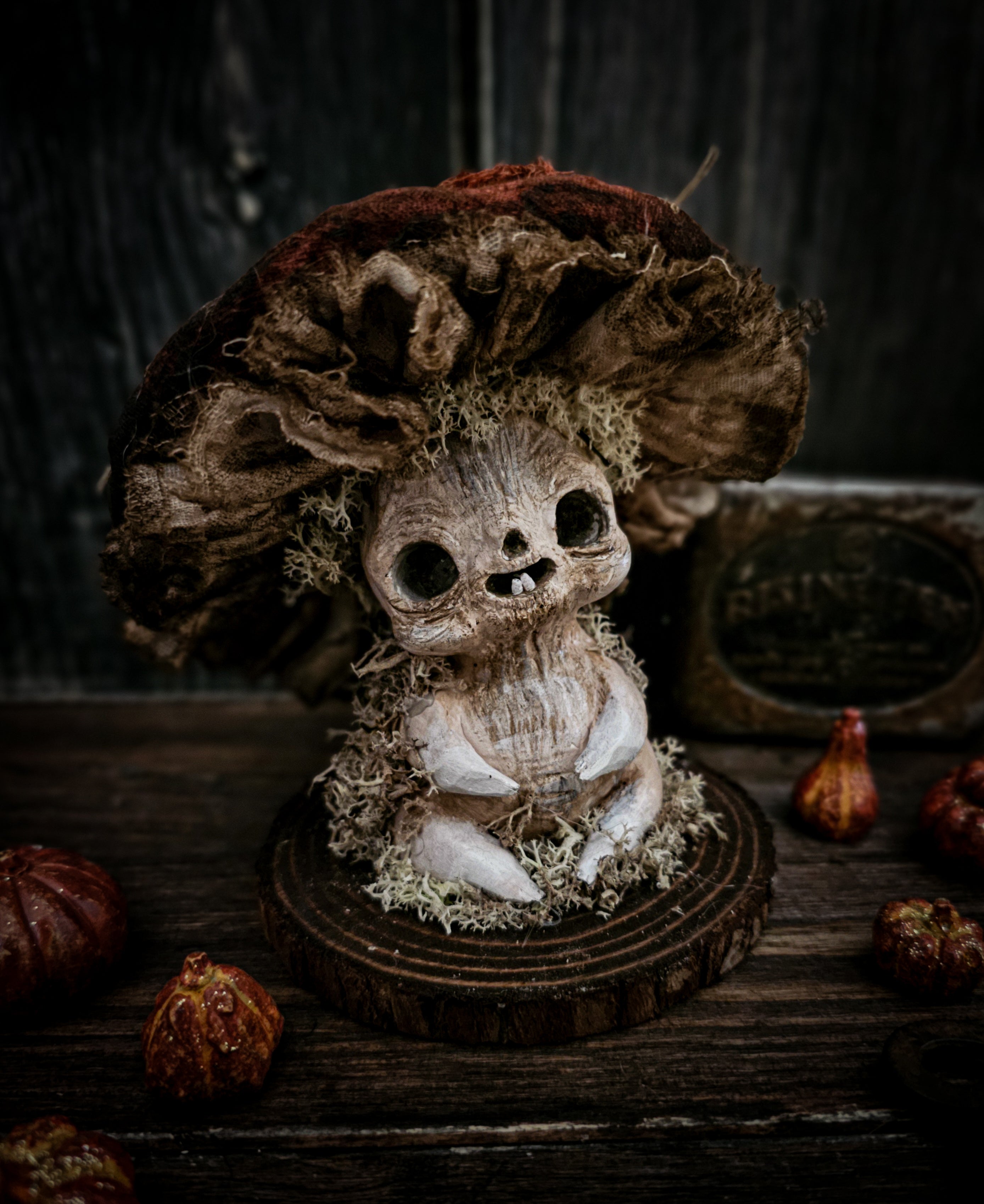 4.7 Autumn Mushroom