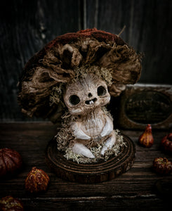 4.7 Autumn Mushroom