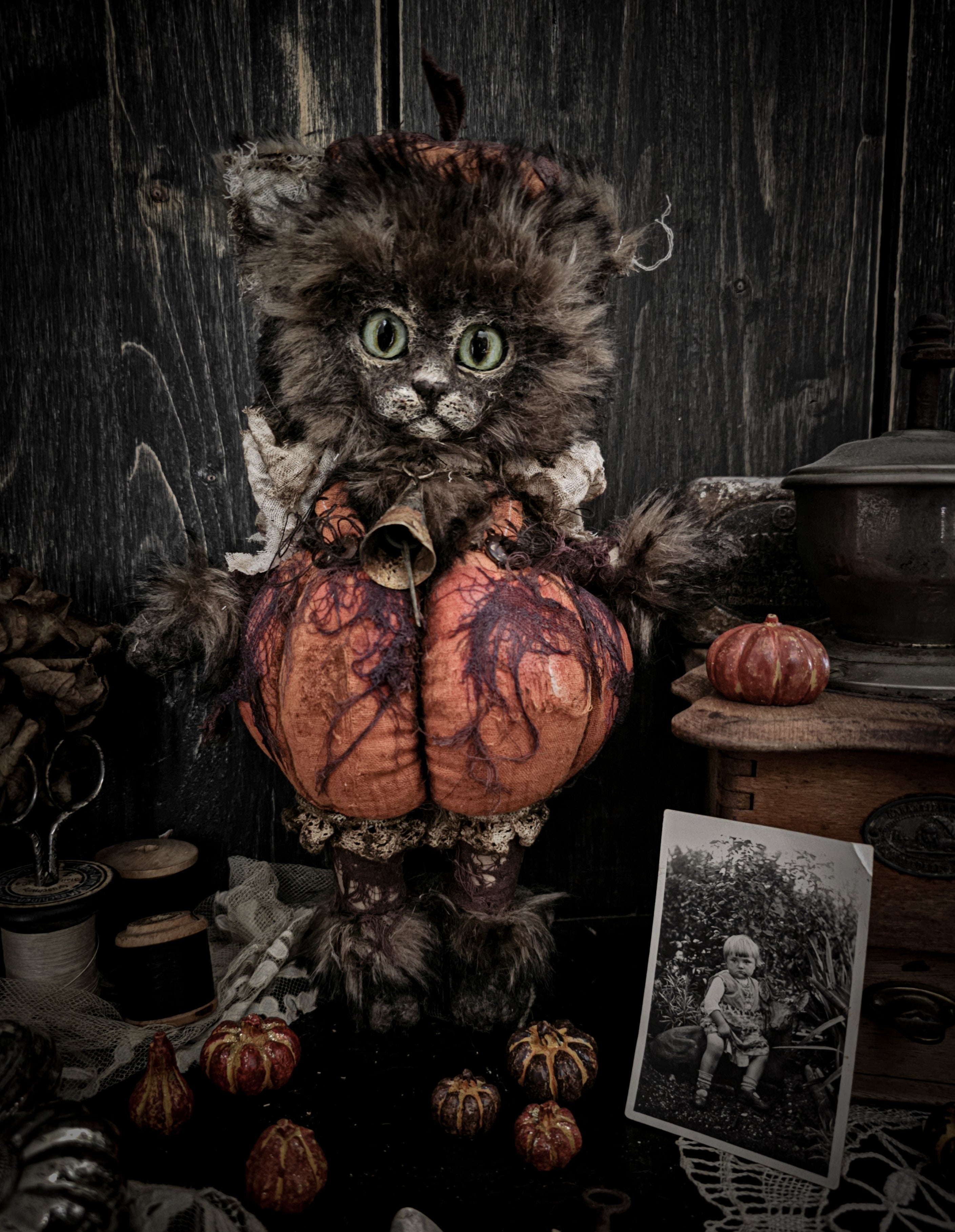 12" Pumpkin Cat