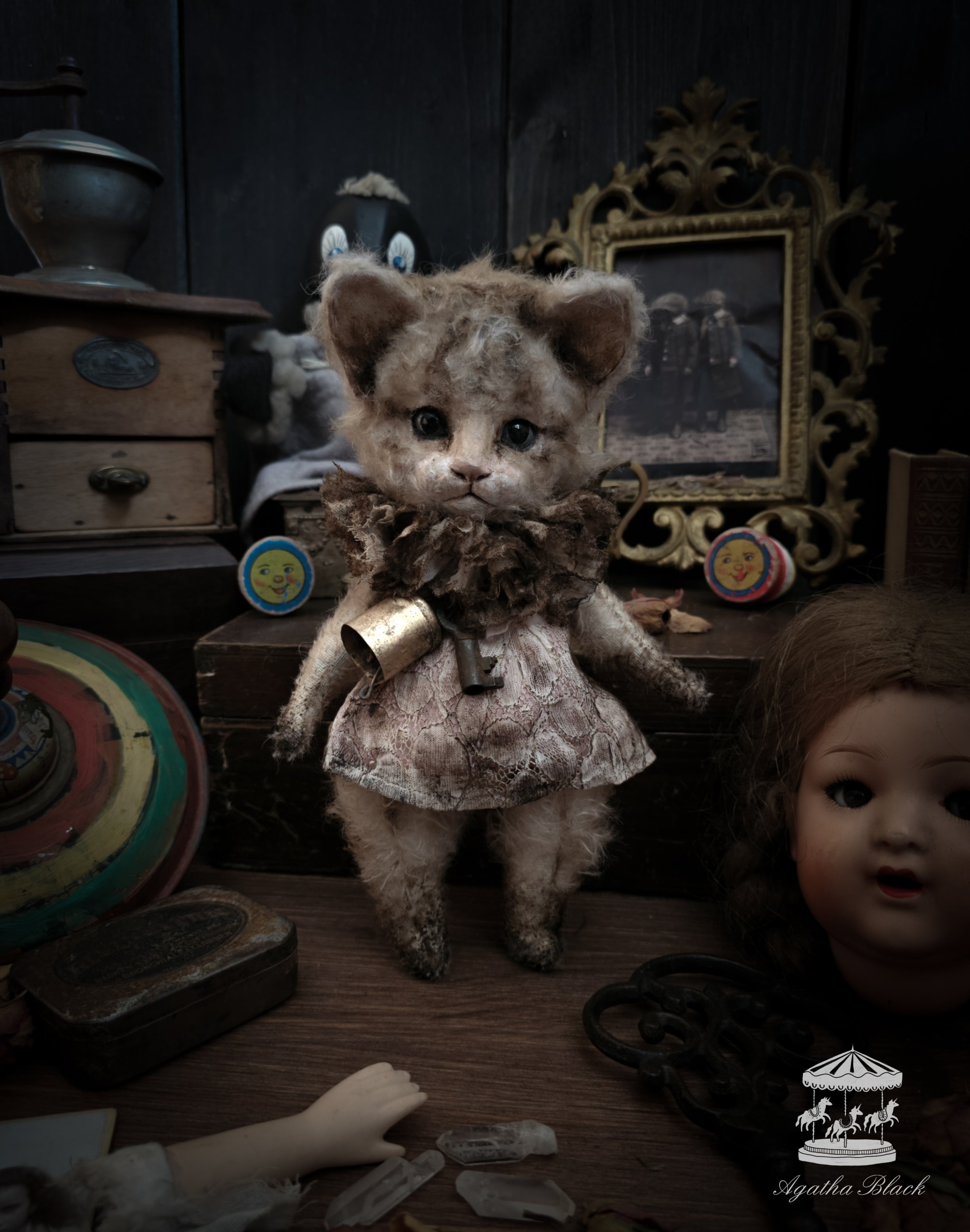 9.8" Kitten